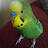 Yasin_Kurttekin